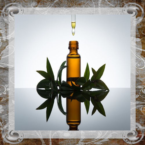 Aromatherapy Essence Oils Directory